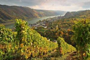 New edition of MERIAN travel guide Discover Germany´s Wine Regions