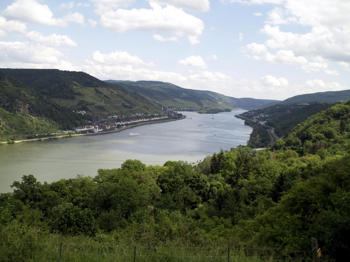 Der Rhein bei Oberwesel